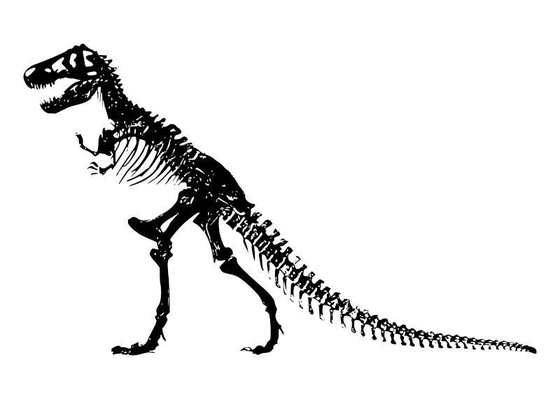 Dinosaur Skeleton in Side Profile Illustration
